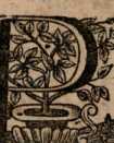 Figura da
