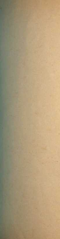 Figura de
