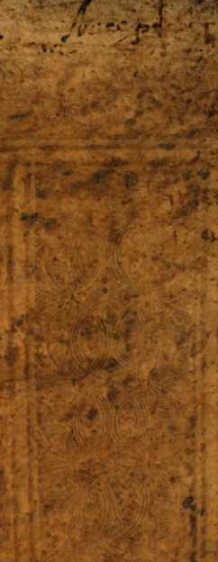 Figura de