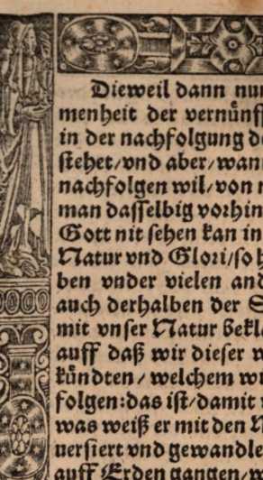 Abbildung