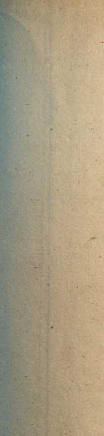 Figura de
