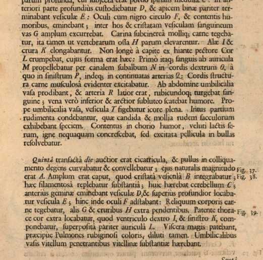 Figura da