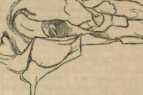 Figura da