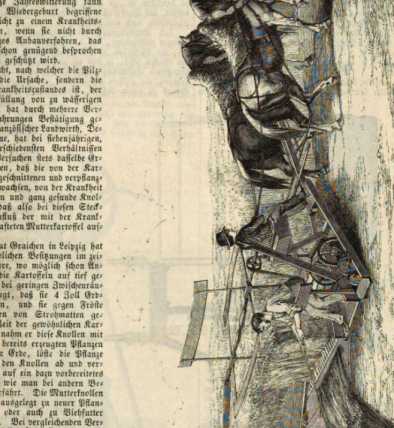Image from