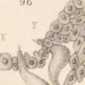 Illustration dans