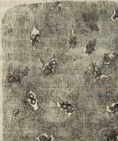 Figura de
