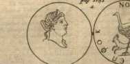 Figura de