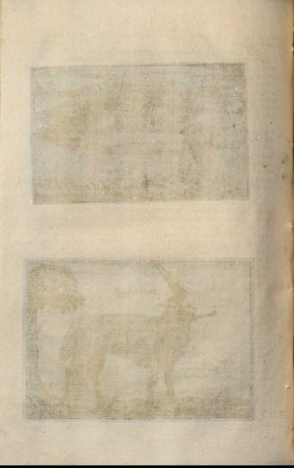 Image from