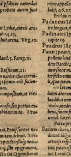 Figura din