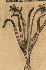 Illustration dans