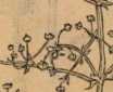 Figura din