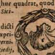 Figura din