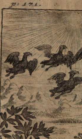 Figura din