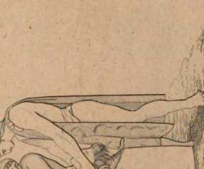 Figura din