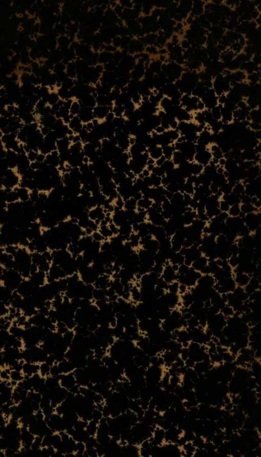 Image from