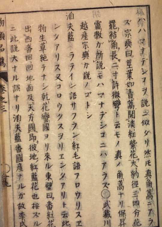 Image from