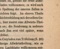 Abbildung aus