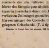 Abbildung aus