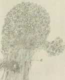 Figura de