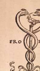 Figura