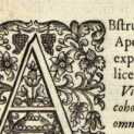 Figura din