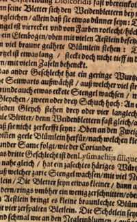 Abbildung aus