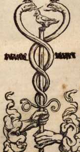 Figura din