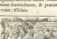 Figura din