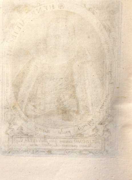 Figura da