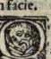 Figura de
