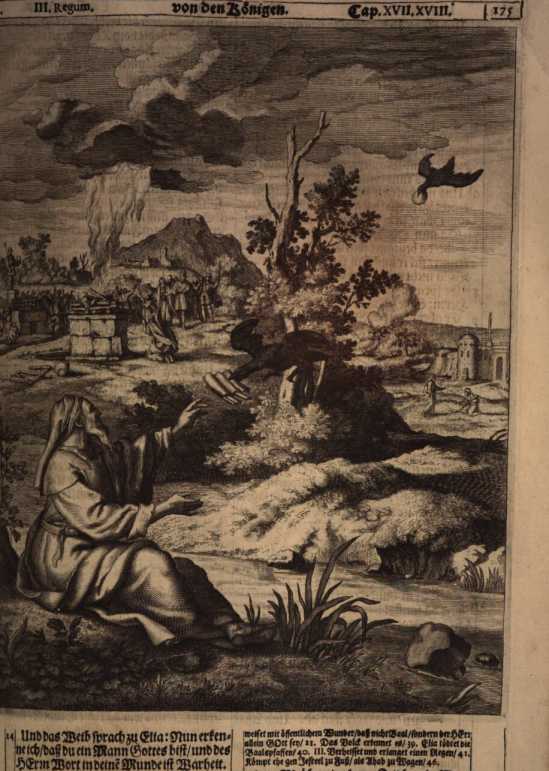 Figura din