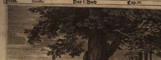 Figura da