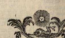 Figura din