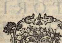 Figura da