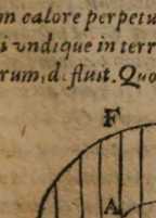 Figura din