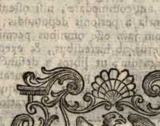 Figura de