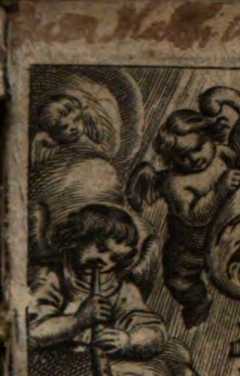 Figura da
