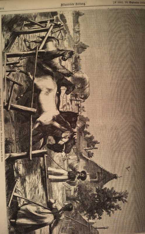 Figura din