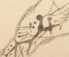 Illustration dans