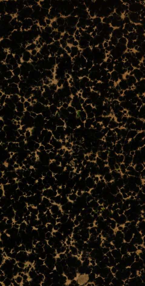 Image from