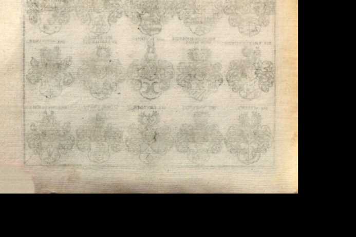 Figura din