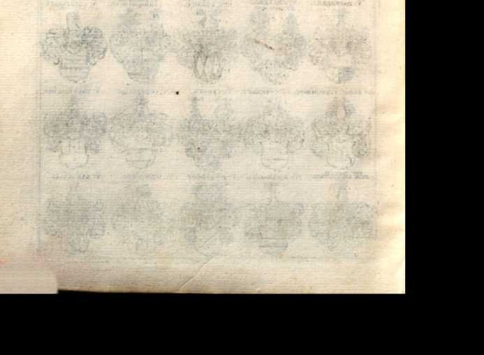 Figura din