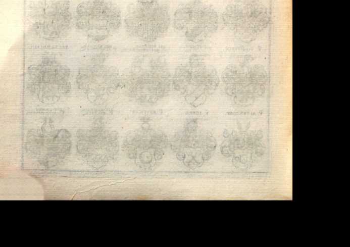 Figura din