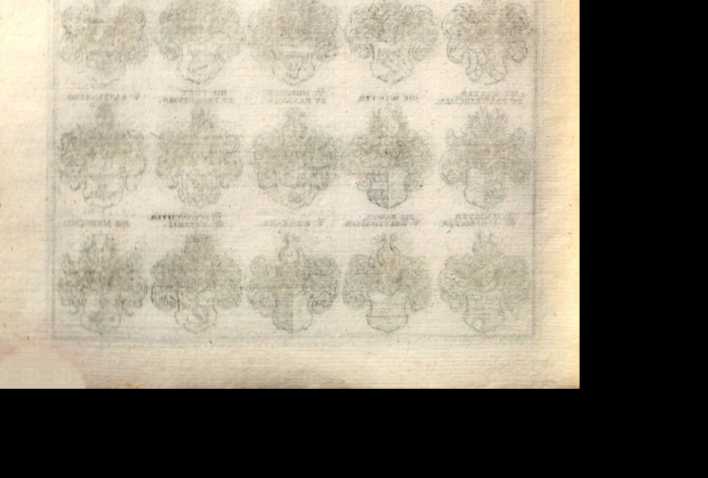 Figura din