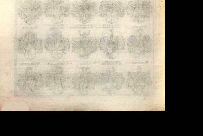 Figura din