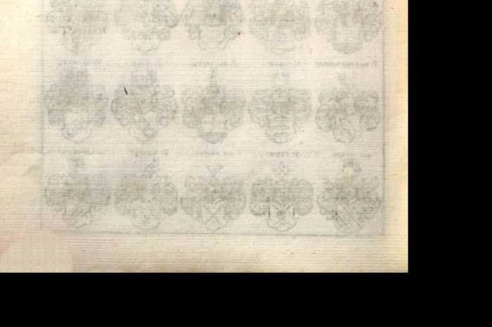 Figura din