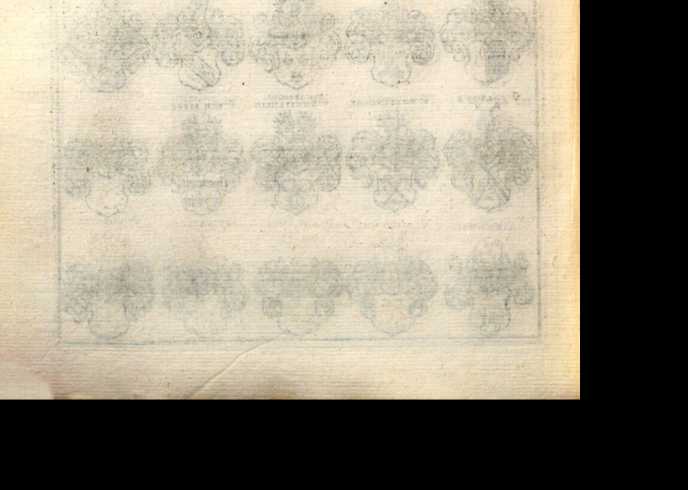 Figura din