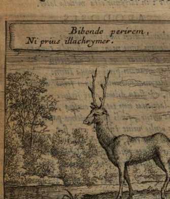 Figura din
