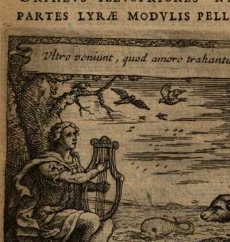 Figura din