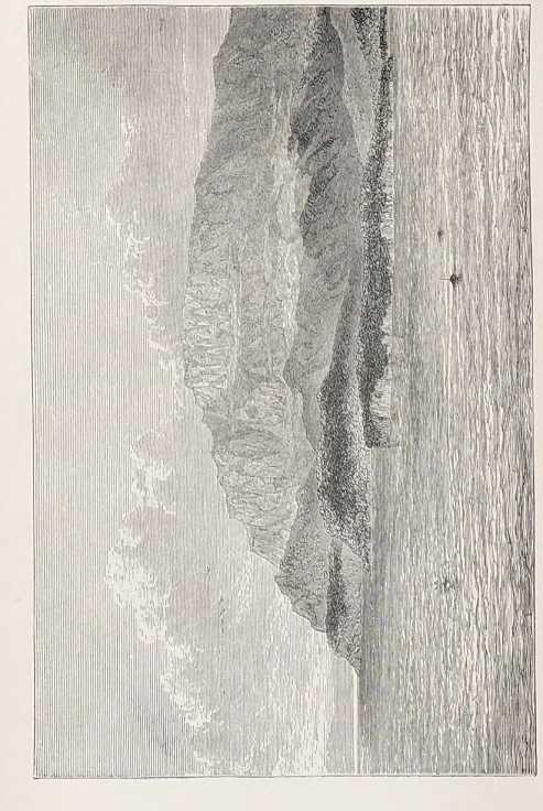 Figura de